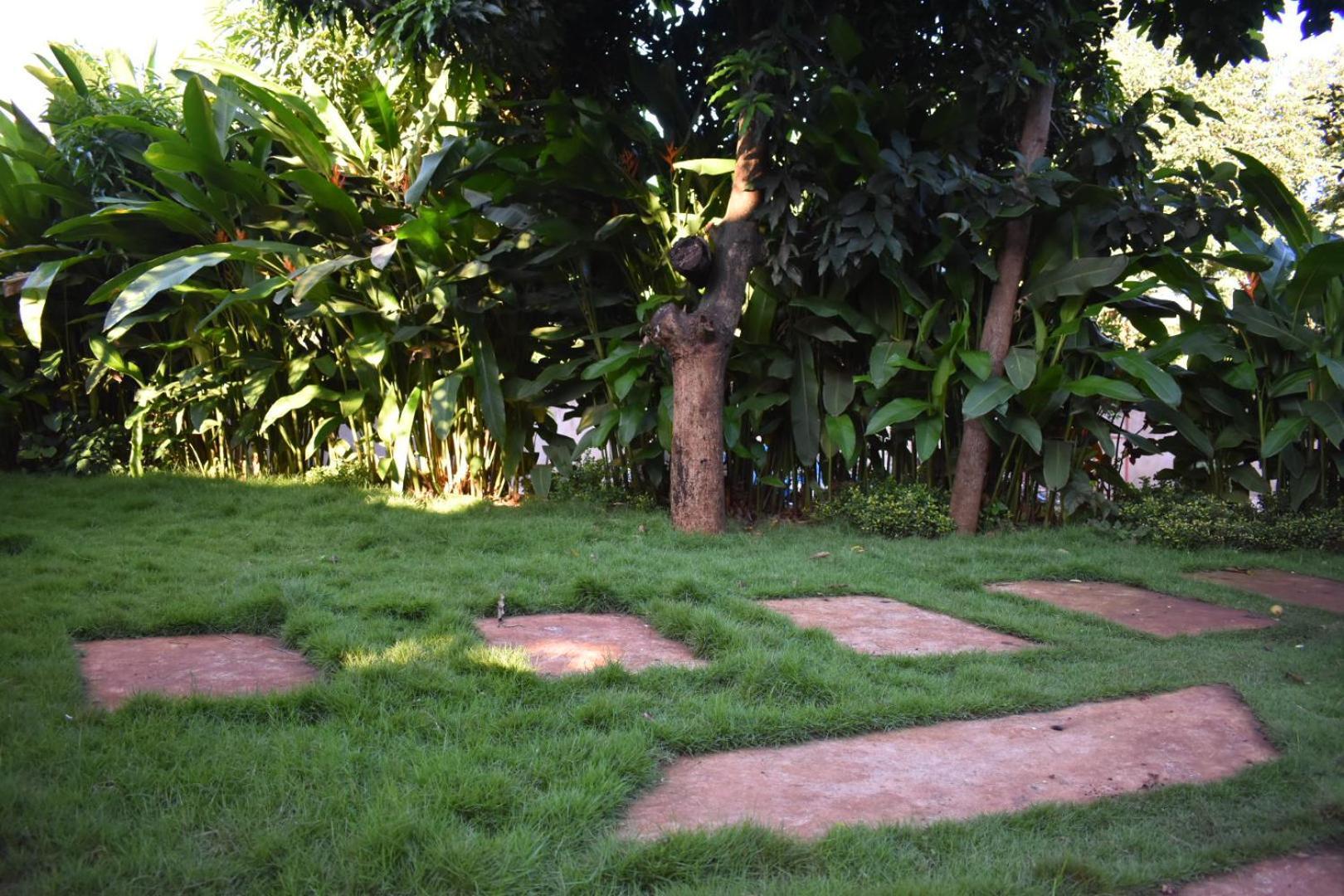 Kilimanjaro Accommodation Msaranga المظهر الخارجي الصورة